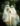 Best couples Halloween costume ideas 2025