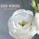 Faith based good morning quotes prayer messages