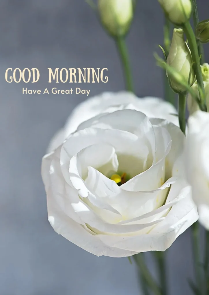 good morning quotes faith based