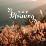 Kindness good morning quotes compassionate words