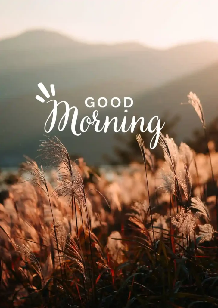 good morning quotes kindness