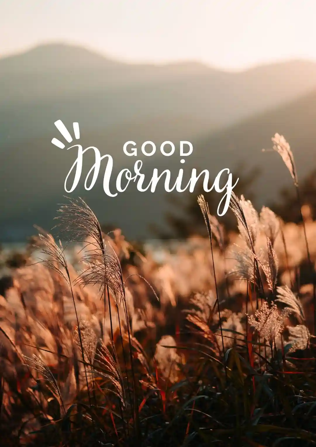 Kindness good morning quotes compassionate words