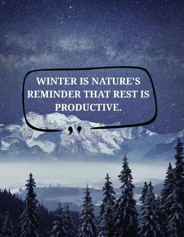 gratitude winter quote