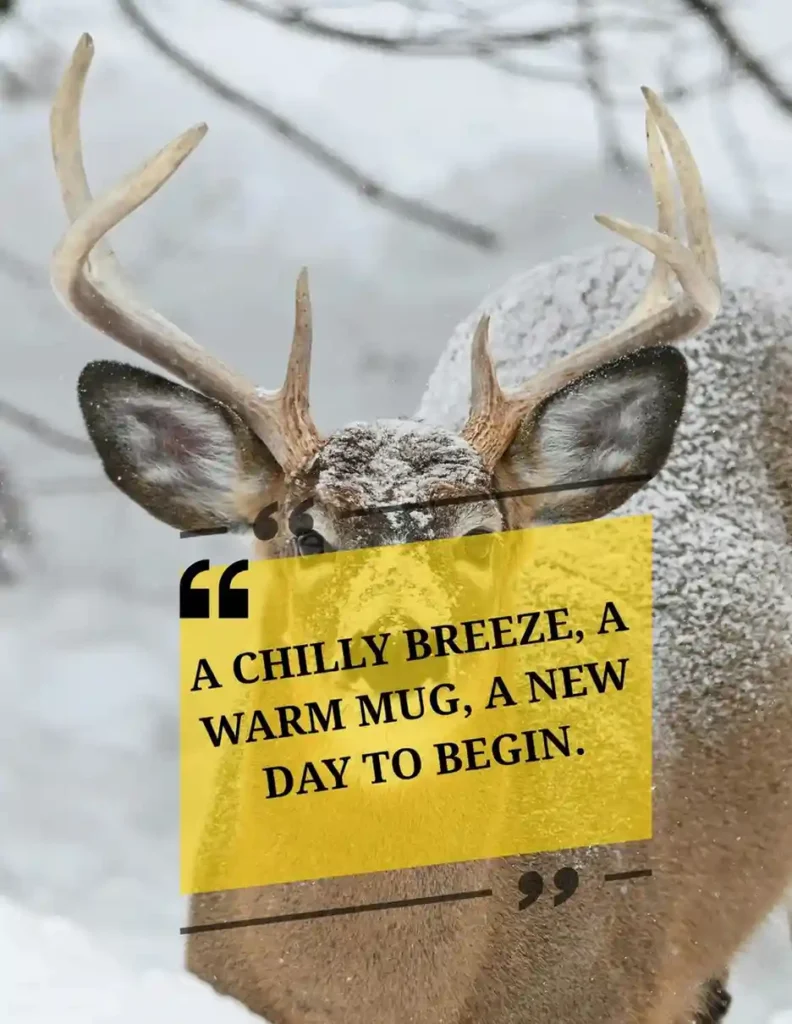 reflective snow quote