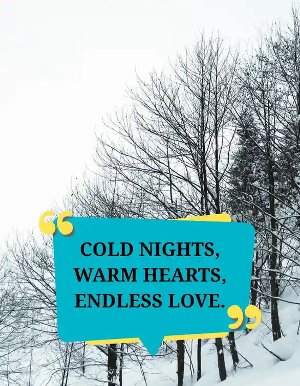 short winter quote