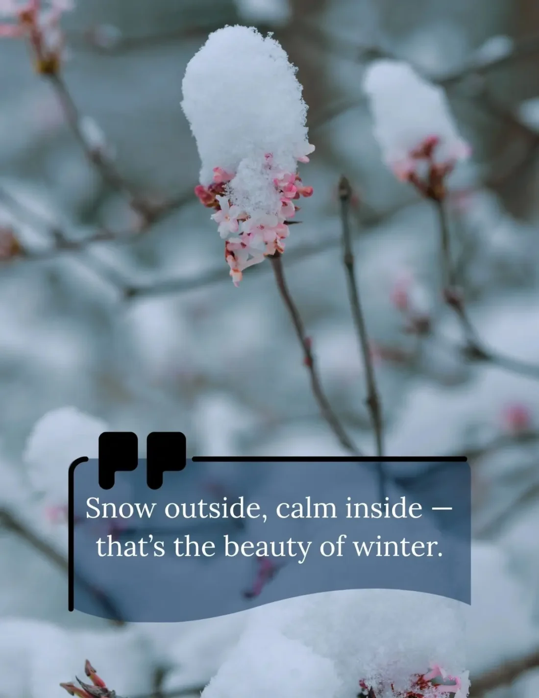 Playful quote for snow day humor