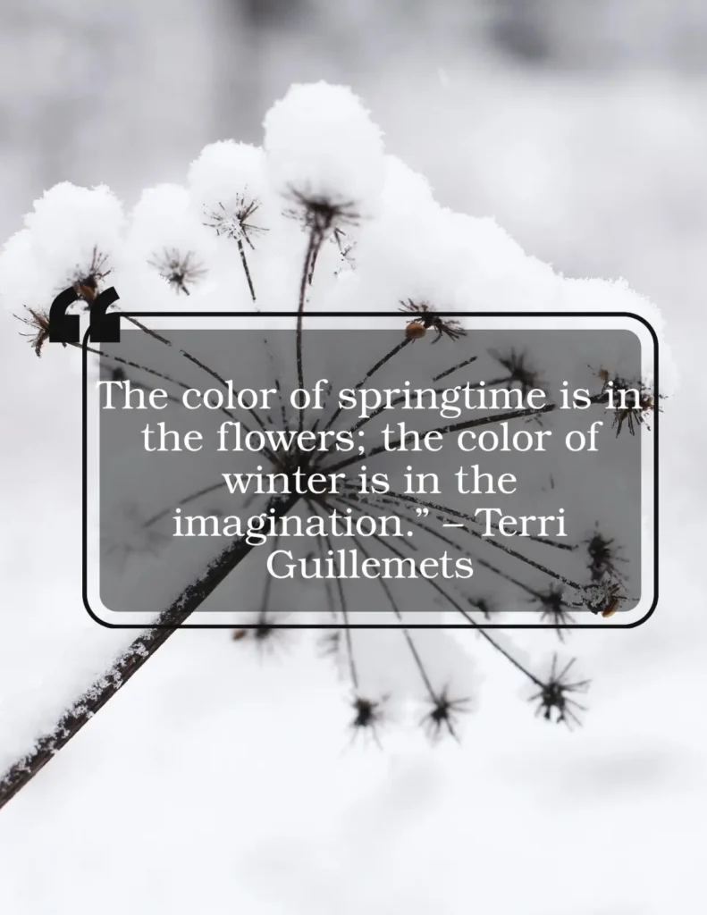 snowflake warmth quote