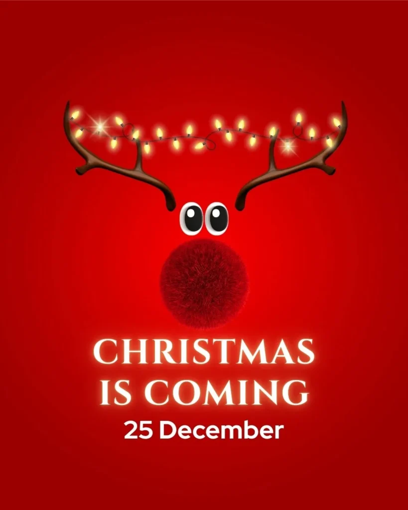 Christmas lights aesthetic caption inspiration for Instagram