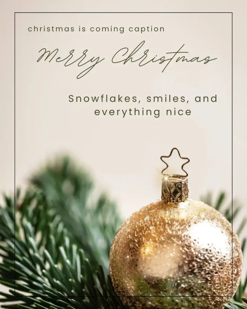 Christmas selfie captions with cute and festive ideas