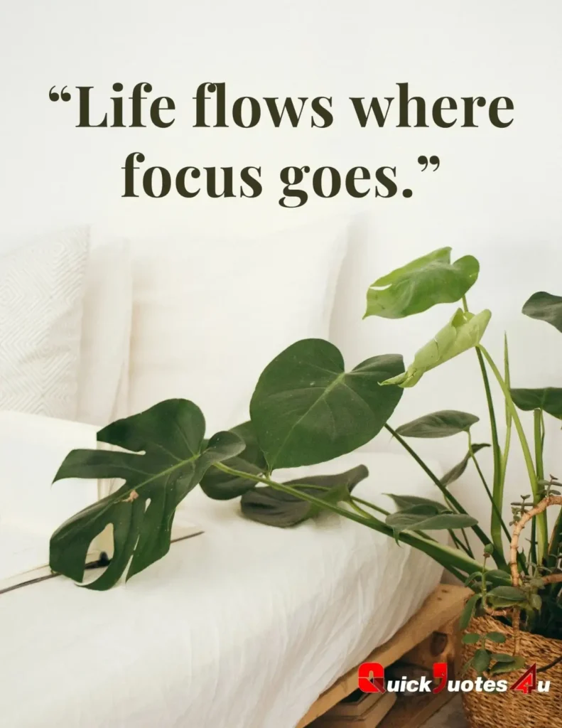 Deep meaning life quote with soft tones