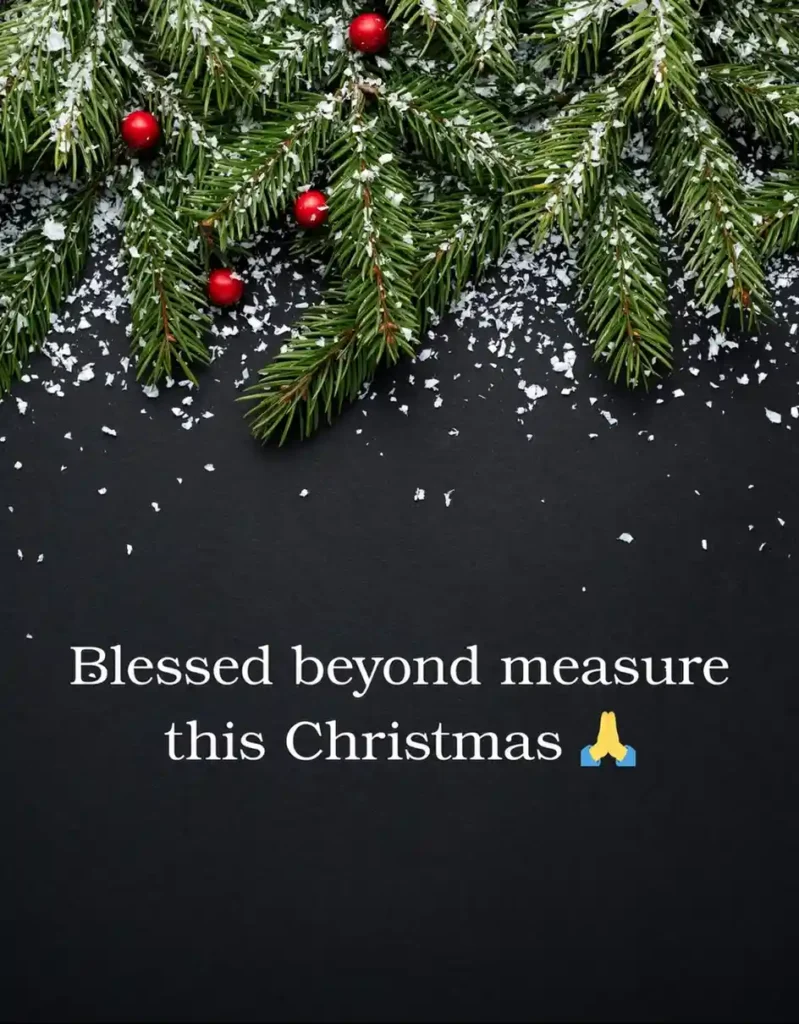 One line Merry Christmas caption ideas