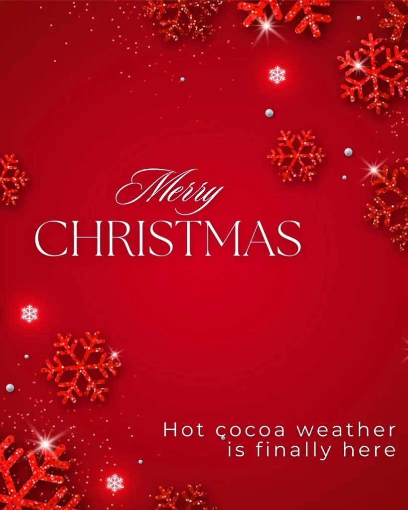 Santa Claus themed funny Christmas captions for posts