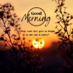 good-morning-quotes