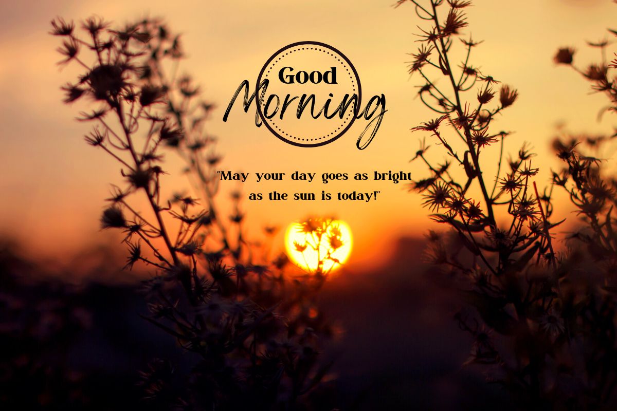 good-morning-quotes